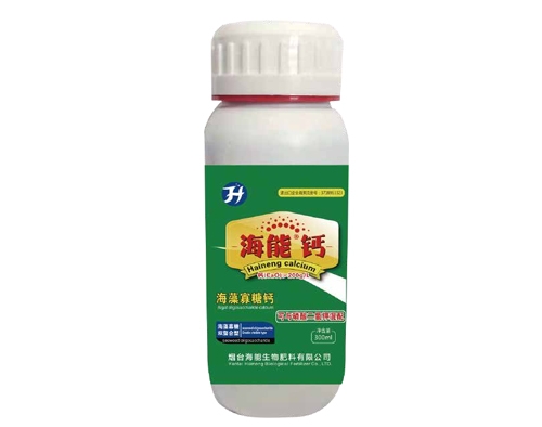 麻豆视频免费版鈣