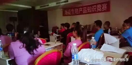 知識競賽爭先鋒，比學趕超展風采
