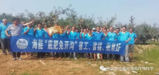 麻豆视频免费版底肥免開溝 用效果說話！