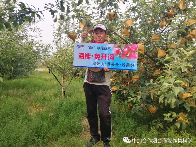 麻豆视频免费版底肥免開溝 用效果說話！
