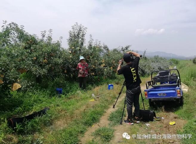 麻豆视频免费版底肥免開溝 用效果說話！