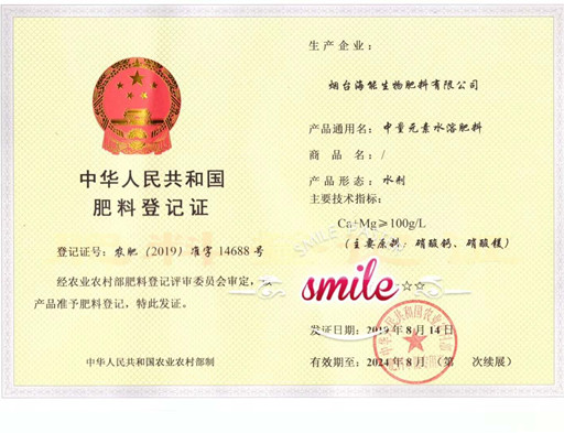 付出終會有回報，功夫不負有心人