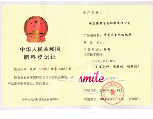 付出終會有回報，功夫不負有心人