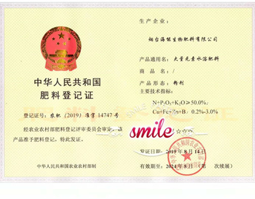 付出終會有回報，功夫不負有心人