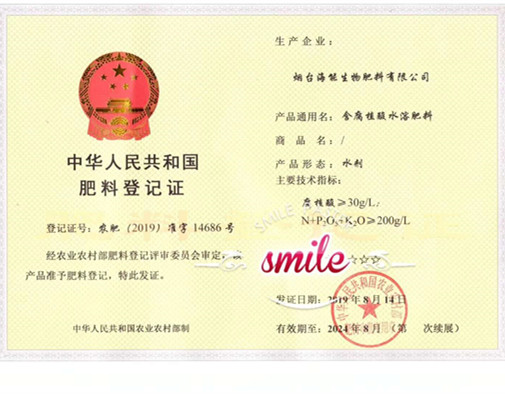 付出終會有回報，功夫不負有心人