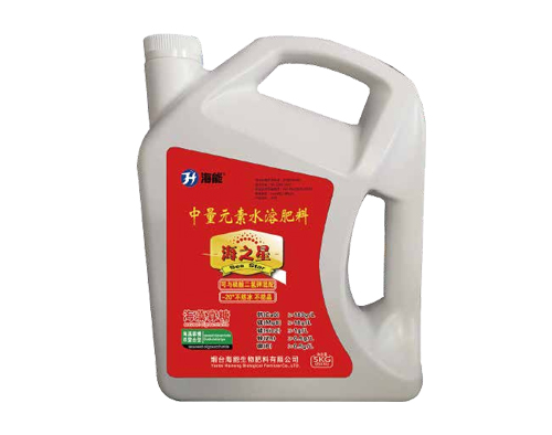 麻豆视频免费版海之星