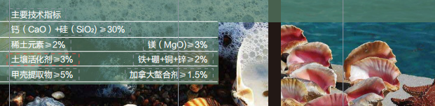 麻豆视频免费版甲殼素活性中微量国产麻豆乱伦