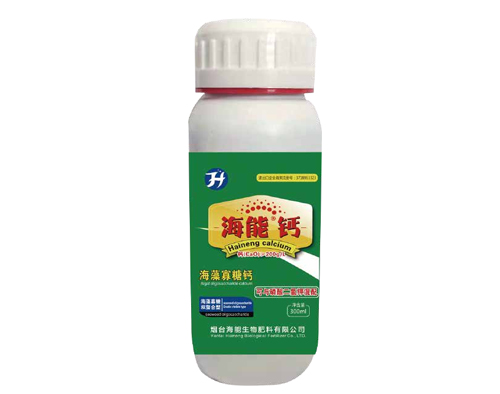 麻豆视频免费版鈣